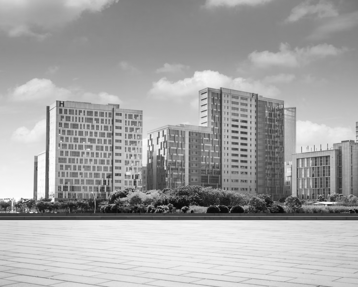 about section six image